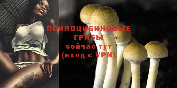 мяу мяу мука Балабаново