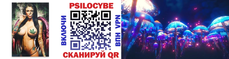 Купить где  Нязепетровск  Галлюциногенные грибы Cubensis 